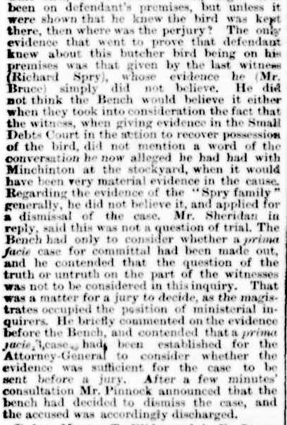 spry-and-the-butcher-bird-3 spry-and-the-butcher-bird-3