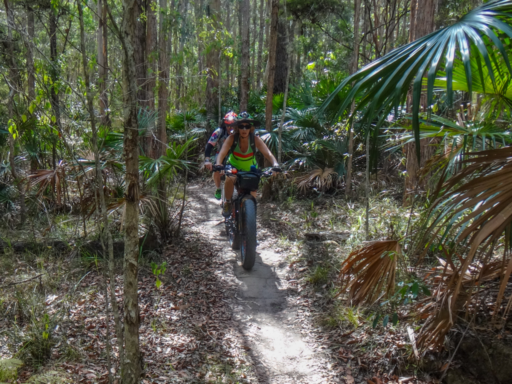 The Road to Rainbow Beach Musings